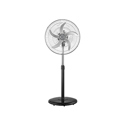 img-1d792332-611a-4fb4-a5a4-8264655daefe.png