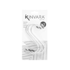 img-cfbe9fe8-582e-455c-bf06-8355aff38d5a.png
