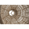 img-7ed88298-16c3-4f0c-9541-d7f786260c7d.png