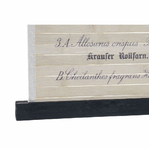 img-4bb3a416-edc4-4c44-ba89-17397f1c63ff.png