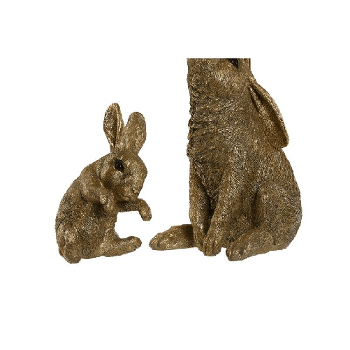 img-987618b2-6690-4584-a71f-1a5fa9890d10.png