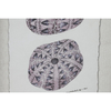img-0eaa3d93-022d-4c3f-a12d-a55f809ab655.png