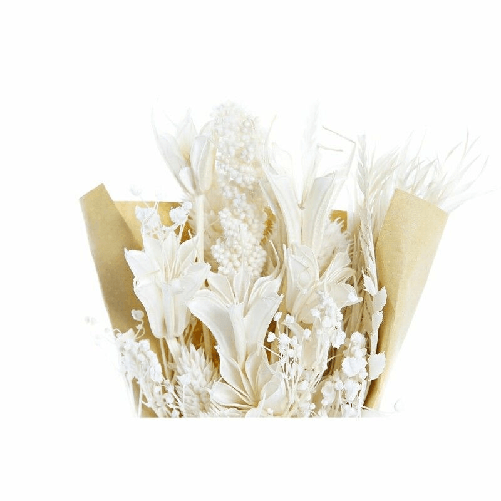 img-dd91c2e2-4b61-4c55-a632-199854625f80.png