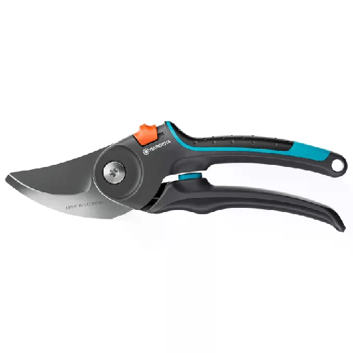 img-8a773c62-9d38-406a-bf40-79e7d74af7d2.png