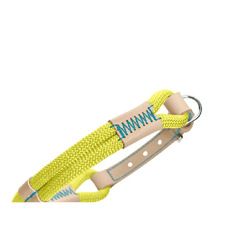 img-89a0bba8-781b-433c-b12e-a00f10ef388f.png
