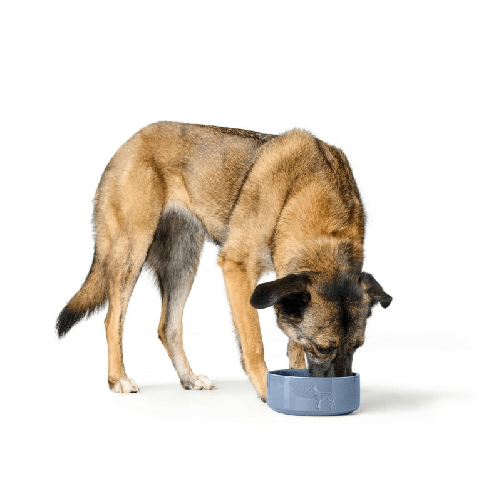 Hunter Ciotola per cani Hunter OSBY GLAZED Azzurro Ceramica 2,5 L