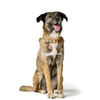 img-8ac81ff2-a6dc-4b21-8bc7-89547f3ce1eb.png