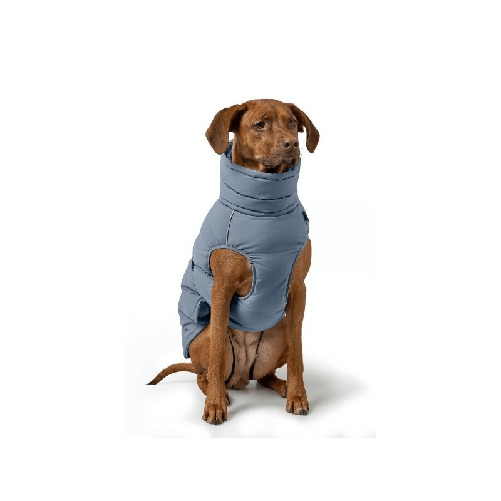 img-89969b33-ab9c-4415-b7a6-ba8708c92541.png