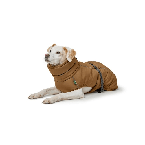 img-46ed1132-c827-48c8-ba33-d42e6d0aa594.png