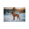 img-9581a0bf-b8ed-400c-8625-7d2ad66ee60a.png
