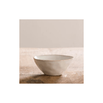 DUTCH ROSE COPPETTA 11cm Organic White