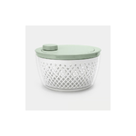 BRABANTIA SCOLAINSALATA Jade Green