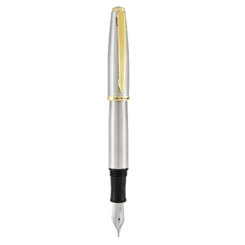 MONTEVERDE Penna stilografica Aldo Domani punta M fusto silver Monteverde