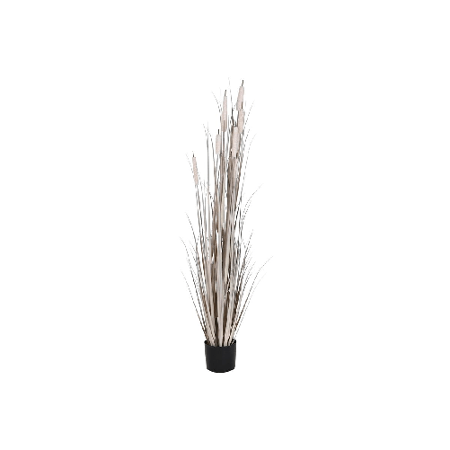 img-29b5d0e1-7db2-4eef-be5a-3e2bc408458f.png