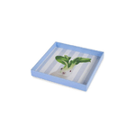 WD LIFESTYLE VASSOIO/VUOTATASCHE QUADRATO 20X20cm CONIGLIO