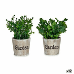 Ibergarden Pianta Decorativa Ibergarden XD16-710 Plastica 16 x 22 x 16 cm (12 Unità)