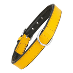 img-02cb103b-f700-473a-843c-8dc5b3d6d628.png