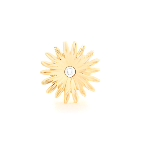 img-d3723924-ac1a-498f-a6f5-d580af5b77b3.png