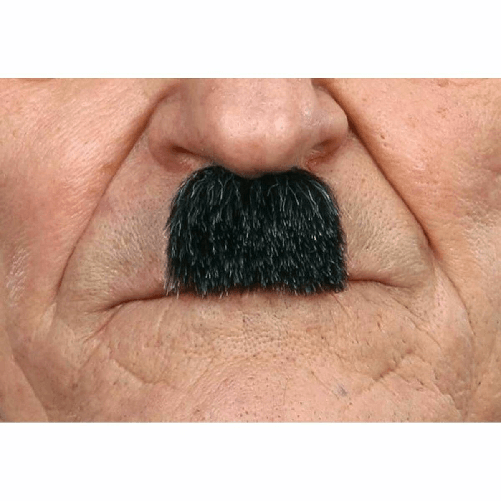 img-da8f52a8-8b72-44ea-bf7b-1b3c6443e52a.png