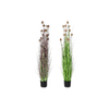 img-e237fe5a-ebd6-4cb5-b201-fbd3ea6dece3.png