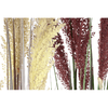 img-60dc88a8-e317-4d8b-822c-52523a31fb5c.png