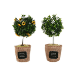 img-60d50a67-42ec-448f-a109-fd6ca890a255.png