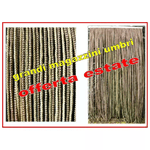Reds Tenda Cordonetto String Marrone 100x220cm F 104