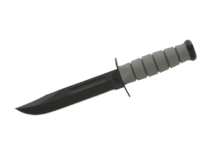 img-e020402d-0147-4fed-87cf-f577a4cfbac2.png