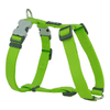 img-3fb038af-27e0-45d3-86c4-96ab2e606d72.png