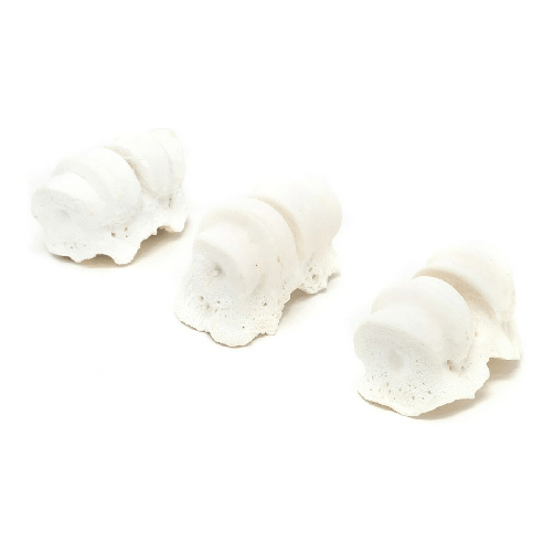 img-8f87b696-4b53-4bad-94e0-5590c056f55f.png