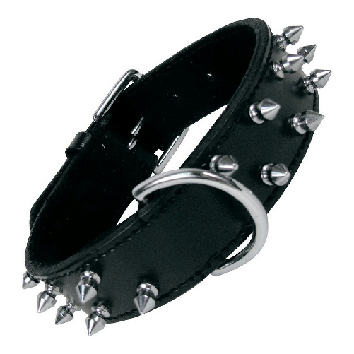 img-66e02e27-86fe-47fd-9759-5c43fdbc98b5.png
