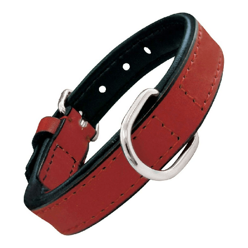 img-857fa42c-2166-4802-96a4-20d532de9485.png