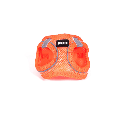 img-668ad12b-f688-43c2-a951-31ce482f490a.png