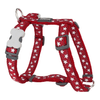 img-6d4ff417-88e9-400c-98c8-8c9ab732e6b8.png