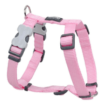img-0ae6754f-bf37-4bba-866e-7f9bdbde9adf.png