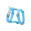 img-bab56509-3daf-43d3-8814-8b0069707c34.png