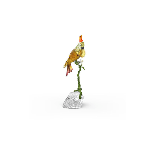 img-36be1eca-f810-4343-8a51-722dc622fd46.png