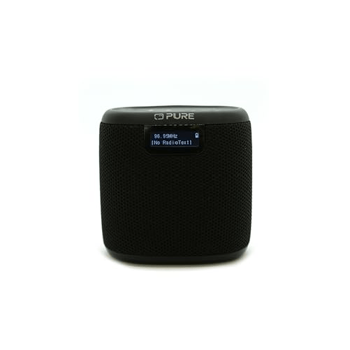 Pure Woodland Mini - Altoparlante Esterno Impermeabile con Radio Bluetooth e DAB+/FM