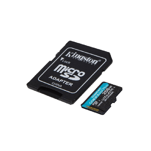 Kingston Scheda Di Memoria Micro SD con Adattatore Kingston SDCG4/256GB 256 GB