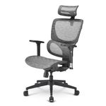 Sharkoon Sedia Office Full Mesh Class-4 Gaslift 3D Armrest  Headrest 5 Heights Adjustable Backr