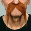 img-8bfa8379-0133-45e3-ada7-56156bebd6f2.png