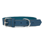 Gloria Collare per Cani Gloria Oasis Azzurro (65 x 3 cm)