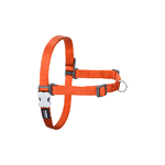 Red Dingo Imbracatura per Cani Red Dingo 59-84 cm Arancio M/L