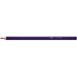 BIC 9641481 pastello colorato 24 pz