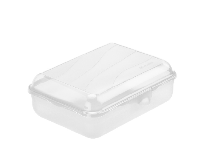 Rotho Contenitore Fun In Polipropilene Trasparente Con Coperchio Lt 1,25