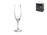 img-db400fde-a6c4-497a-ae13-8acbc09dc297.png