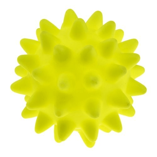 Ferplast Gioco per animali Ferplast 86016799 Spiny