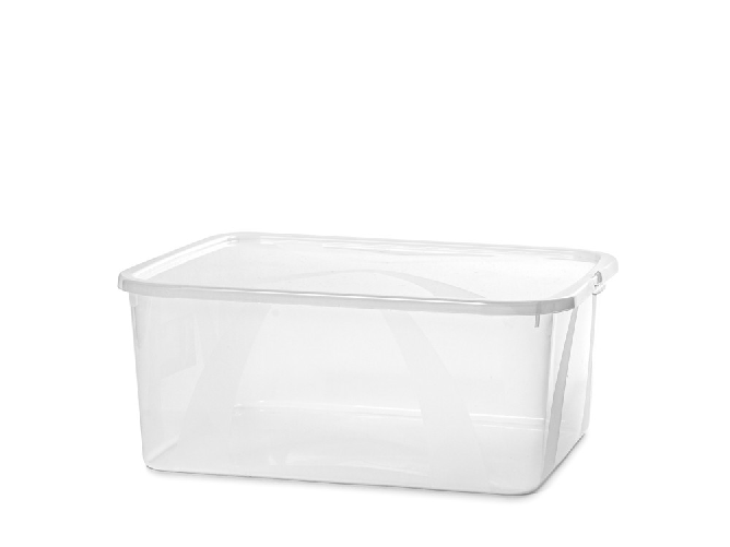 Rotho Box Lona in polipropilene con coperchio. Misure cm 42 x 17,5 x 35. lt.19