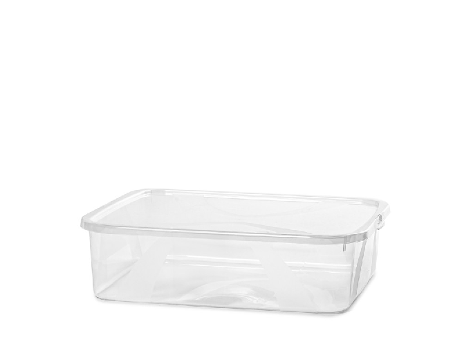 Rotho Box Lona in polipropilene con coperchio. Misure cm 35,5 x 13,5 x 26 . Lt.10