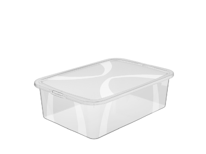 Rotho Box Lona in polipropilene con coperchio. Misure cm 42 x 11,5 x 35. lt.12